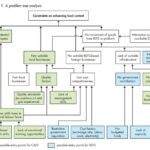 Local content strategy: A guidance document for the oil and gas industry (1st edition)