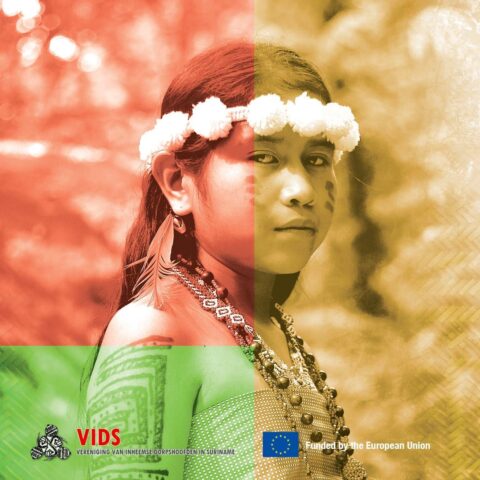 Vereniging van Inheemse Dorpshoofden in Suriname