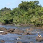 Suriname Tourism Month 2023: Celebrating Travel and Green Investments