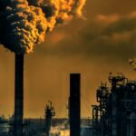 Suriname’s Carbon Credit Journey: Opportunities and Challenges