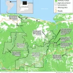 Surinaamse Overheid Overweegt Grootschalige Ontbossing van Amazoneregenwoud voor Landbouw en Veeteelt