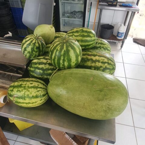 https://localcontentsuriname.com/wp-content/uploads/2024/03/IMG-20240302-WA0019.jpg