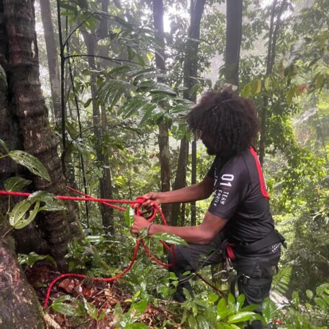 https://localcontentsuriname.com/wp-content/uploads/2024/03/IMG-20240302-WA0019.jpg