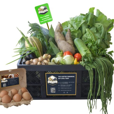 https://localcontentsuriname.com/wp-content/uploads/2024/03/IMG-20240302-WA0019.jpg