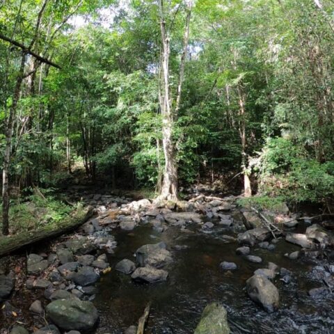 https://localcontentsuriname.com/wp-content/uploads/2024/03/IMG-20240302-WA0019.jpg