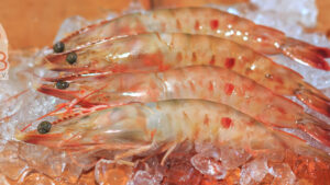 PREMIUM QUALITY SEAFOOD 