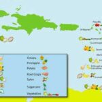 BNM Business Talk en Lancering Export Handboek voor Caribisch Gebied