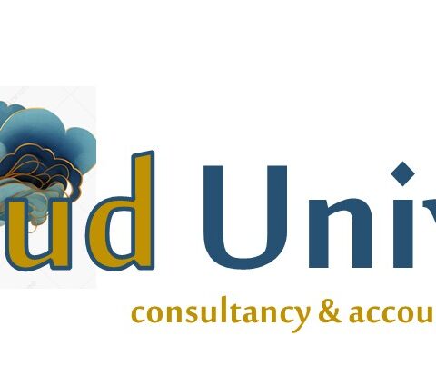 cloudunviverse accountants+advisory nv
